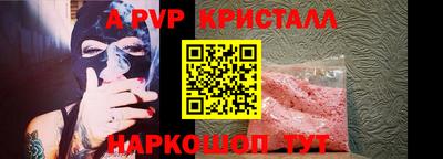 шишки Кингисепп