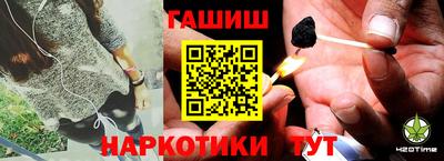 шишки Кингисепп