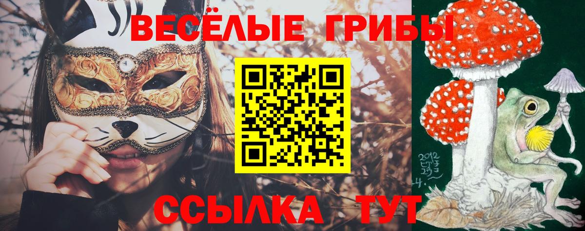 Алапаевск  Галлюциногенные грибы Psilocybe  наркота  Вход с VPN 